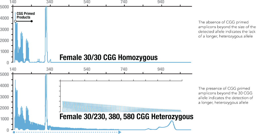 AmplideX resolves female zygosity