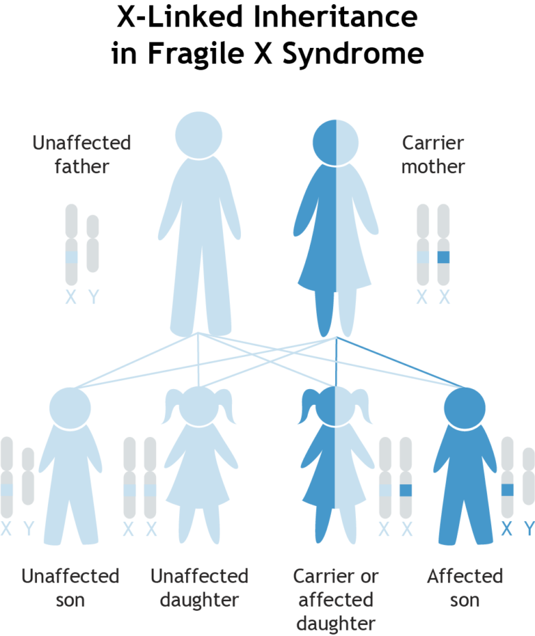 Fragile X Syndrome Testing Resources for Patients and Family Asuragen