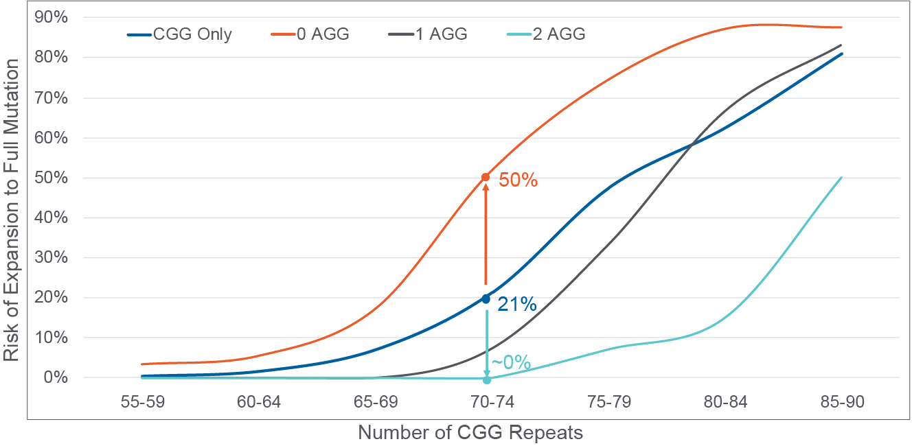 number of cgg repeats and risk of expansion to full mutation