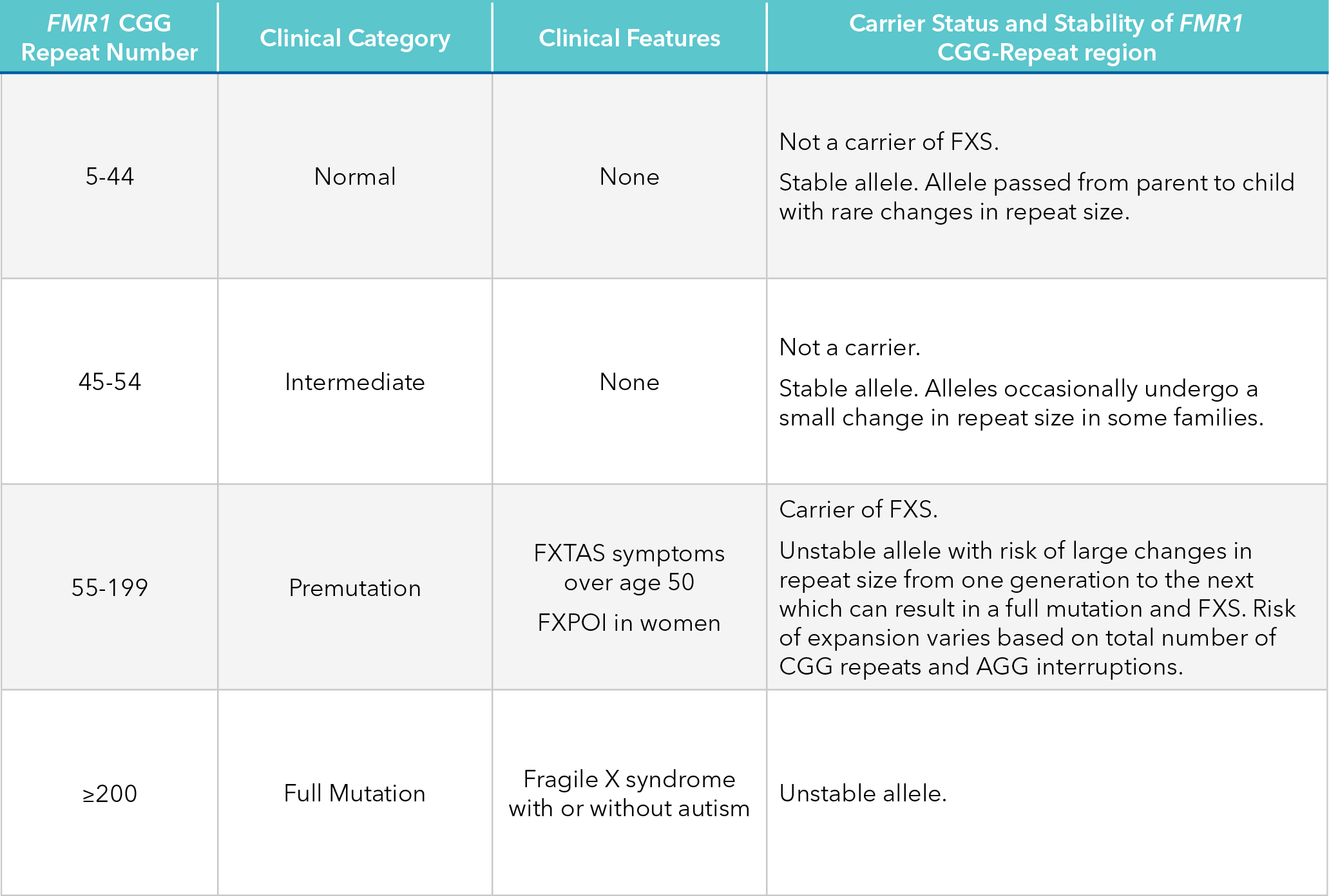 fmr1 cgg repeats and clinical status, features and carrier status