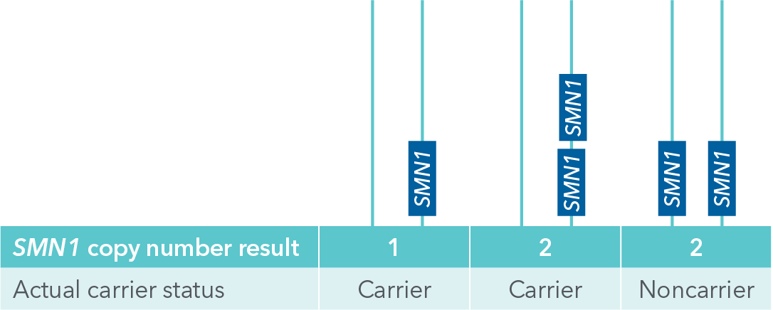 smn1 false negatives chart