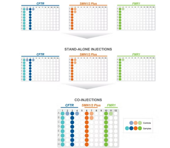 amplidex-genetic-testing-trio-fmr1-smn1-cftr-genes