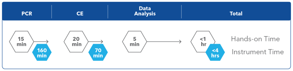 amplidex cftr genetic assay workflow