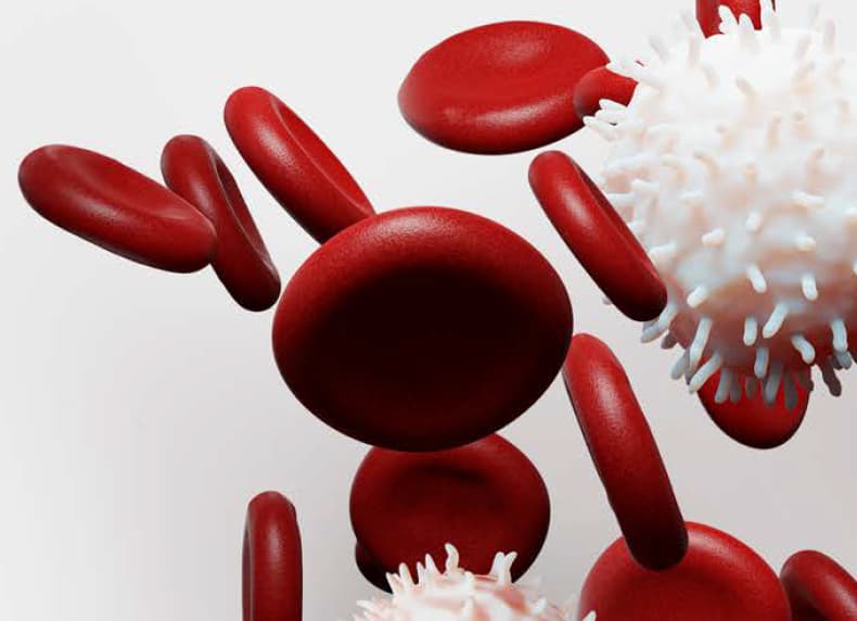 bcr abl precision oncology solutions