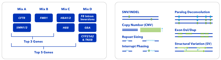 An infographic showing composition of 4 different sample prep mixtures across 4 tubes on the left, and 7 examples of different genetic variations detected by the Carrier Screen Kit on the right