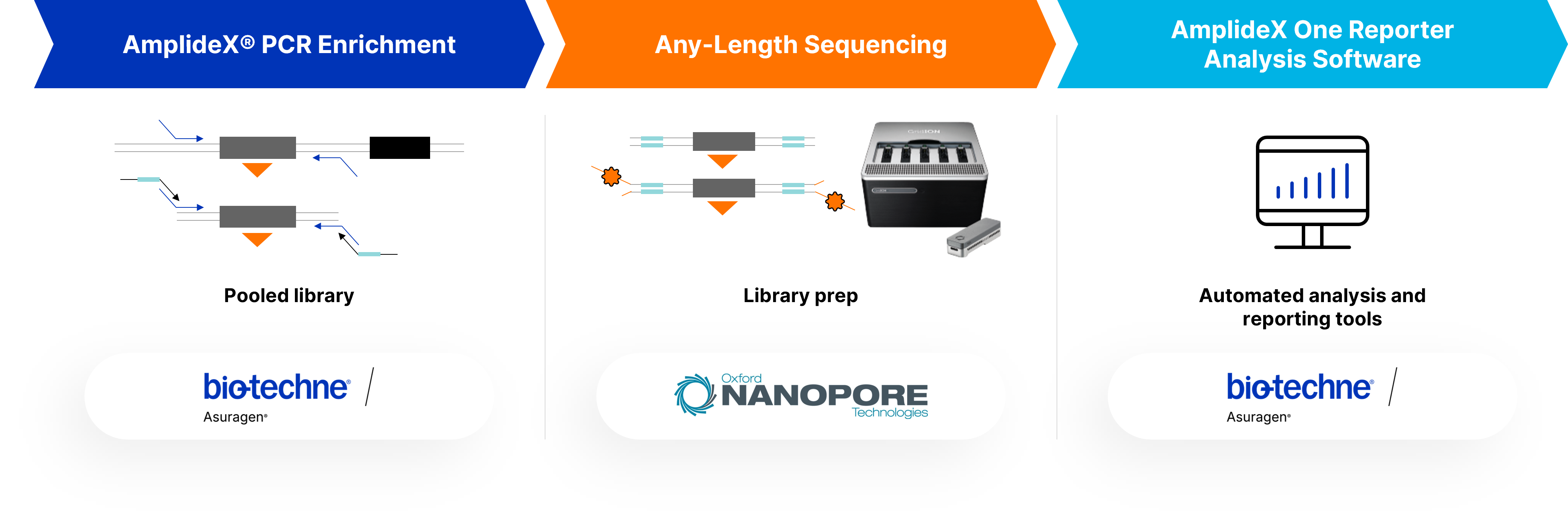 A visual representation of the workflow for the AmplideX Nanopore Carrier Plus Kit