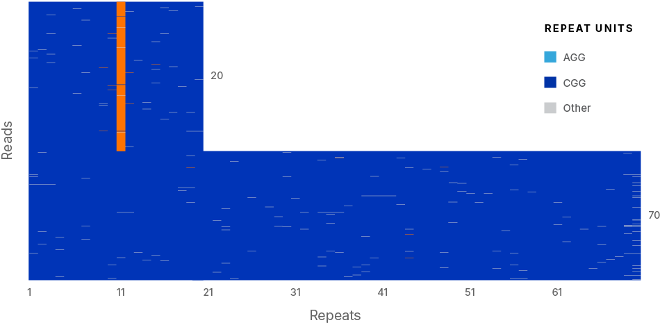 Example of a different visual output from the AmplideX Nanopore Carrier Plus kit