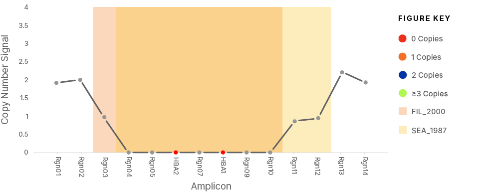 Example visual output with Copy Number Signal on the X-axis and Amplicon on the Y-axis with a Figure key on the right hand side